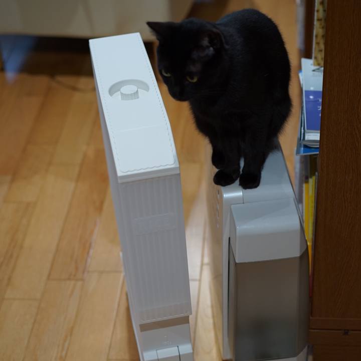 A5ff675b 9a45 42c3 bca1 3357f44dafba 1553178044469