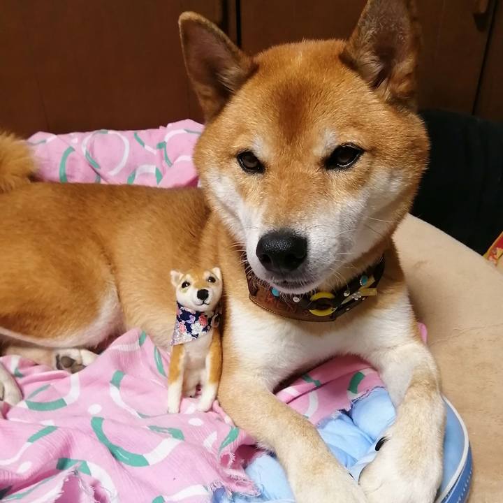 A5ff7937 4e61 48ba 9410 593340fee632 1600079053472