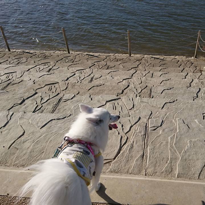 A5ffbca2 9179 46c3 9734 1f0d7bd087f8 1605940605144