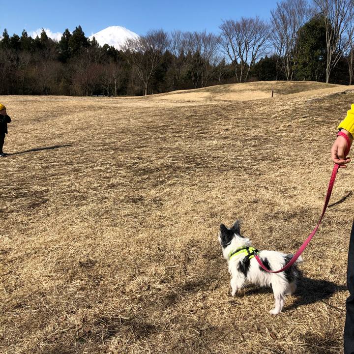 A5ffed51 21e3 4c43 b152 abc2395f30d1 1578225830795