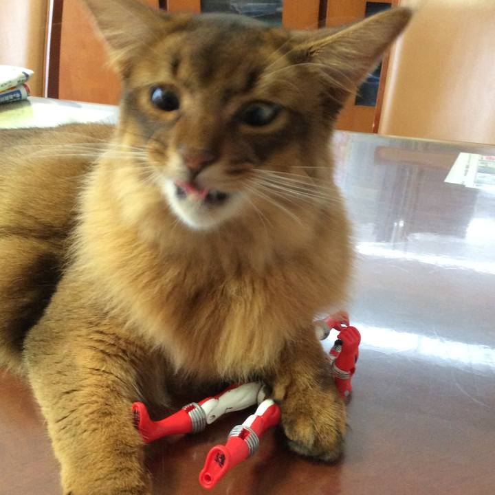 A6000a3f 7eb4 417a 9116 93979af5005a 1595463151410