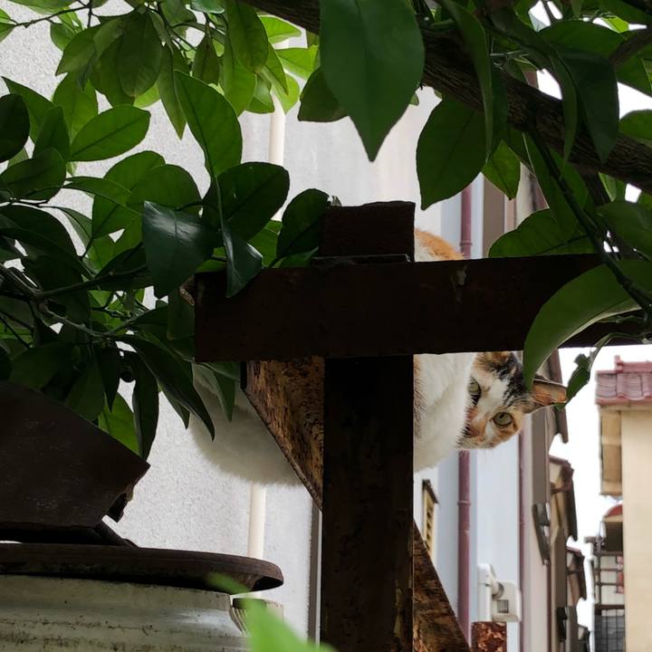 A6003422 8f43 4d3c 8d6c 8583db5fd6b2 1527777306854