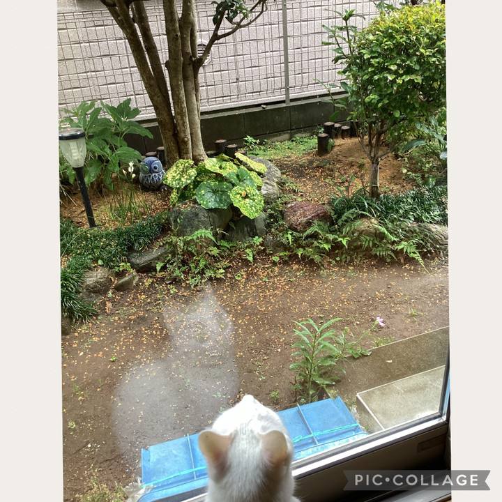 A60045eb af1f 4af0 8c9e 945967927463 1665021865465