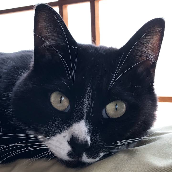 A6007cd9 e0fa 4ccc 984b 1b1977302222 1589603901950