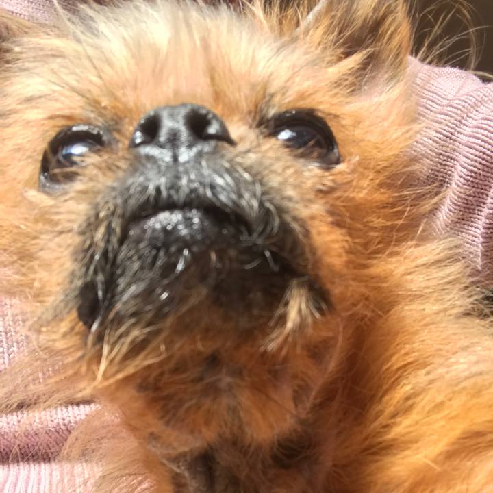 A600851e 6cbb 46be 8143 77ab795a15f3 1550627725161