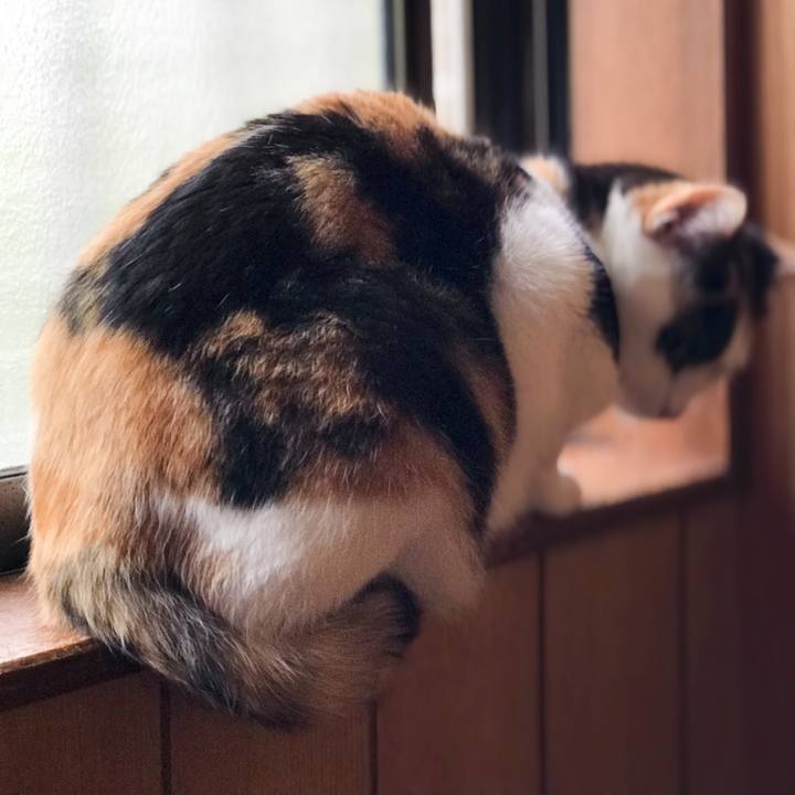 A600972a 3ade 4852 aba6 802bad97bf6f 1525098710496