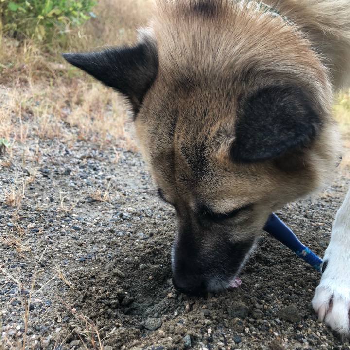 A6009e33 0526 4d1a a981 7fbba2657c16 1635768318274