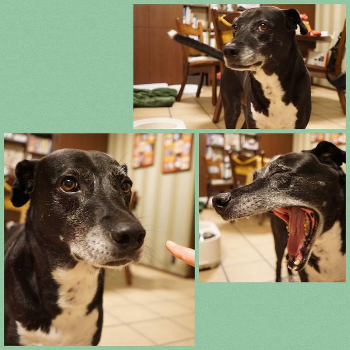 A600b4ce 36d8 4f0e 9af3 1dd0b22a9770 1758020379643