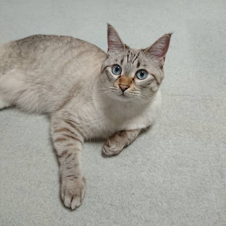 A600d822 a713 431f 8693 7cd53102f80a 1569846600604