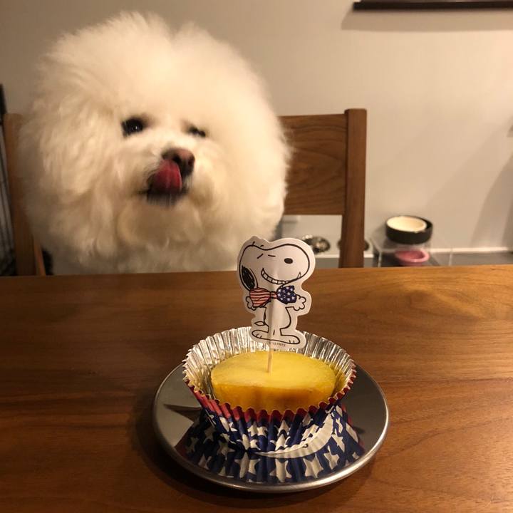 A600f401 581e 48a6 a7ae 426fd1cb7e12 1518621061569