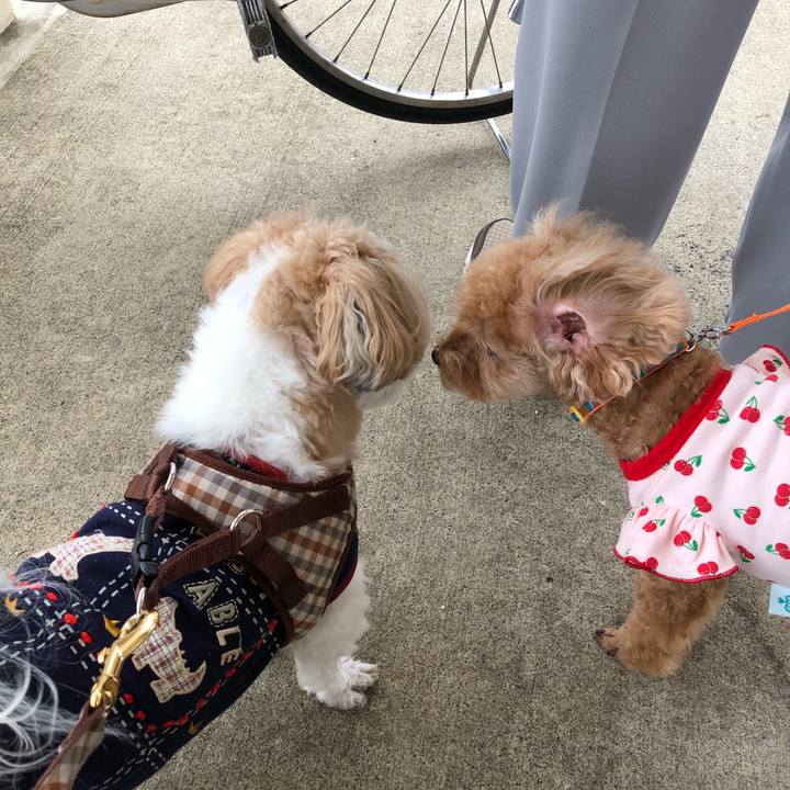 A601208c 0704 4e52 bcaf 168678b77559 1538775621926