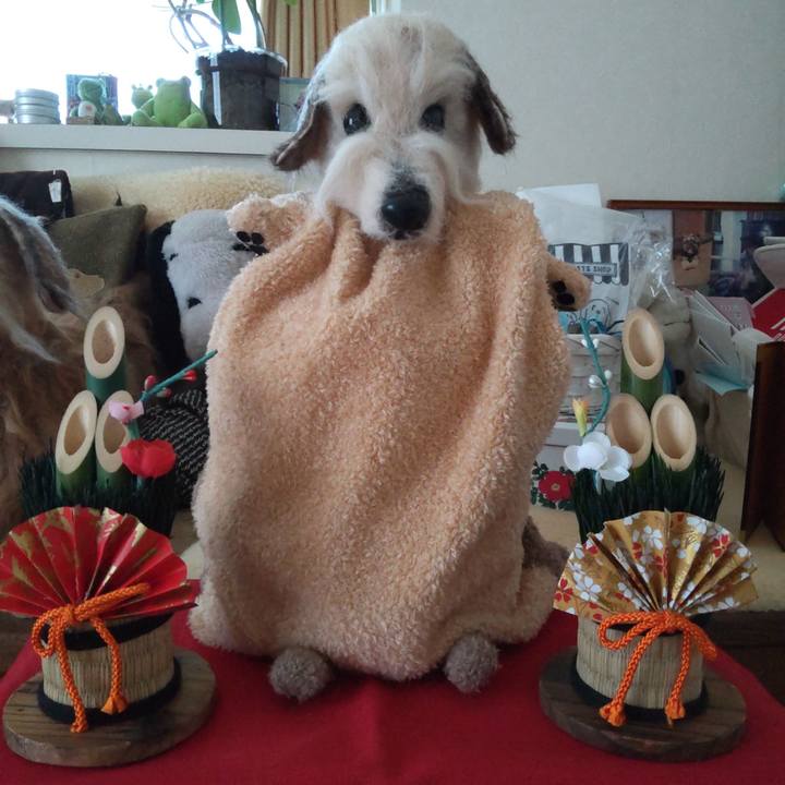 A6012edc 3ff7 469e b77f dbe4fb2c0504 1767229310824