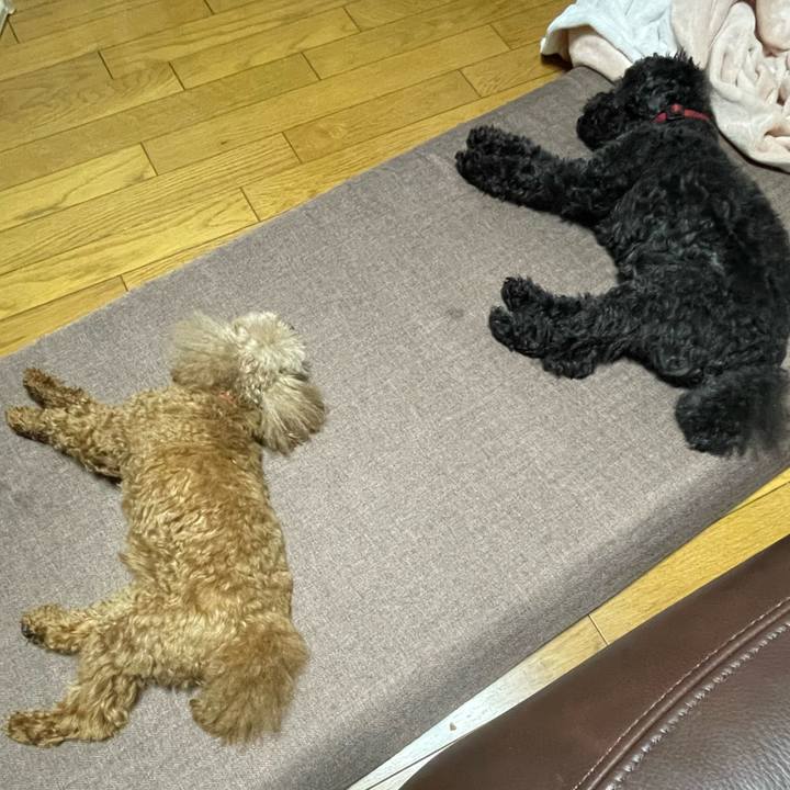 A60131b3 b340 4e84 89aa 72c25f0c0efb 1683458311234