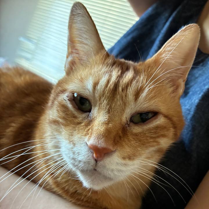 A6014e77 2dfb 4e58 93da 29bf666f4a7e 1759534358596