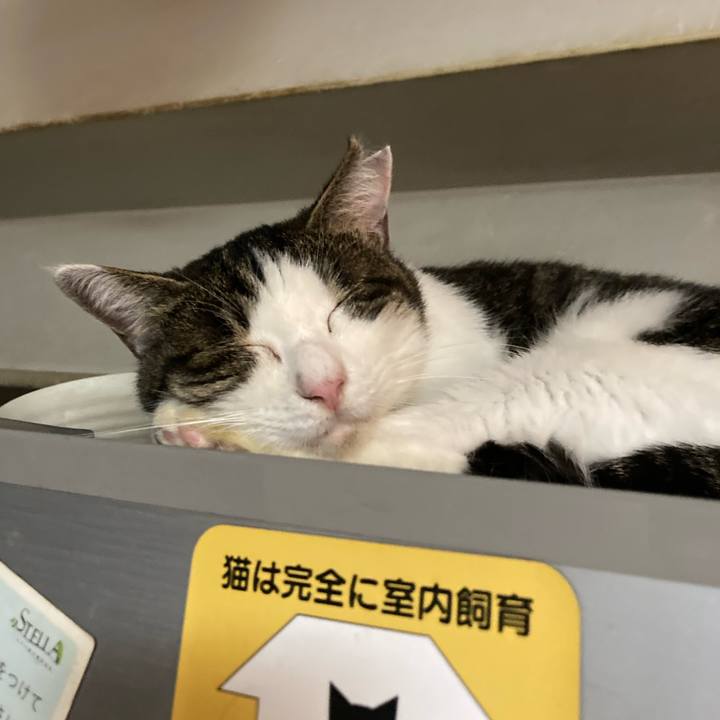 A60157bd 50cb 41a5 96ce dcda77c6a6a3 1696733008301