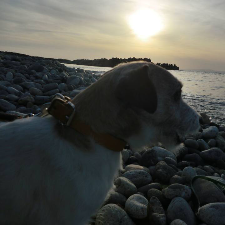 A6015acc 63c7 47ed 8522 b0173c7aab3a 1552307529547