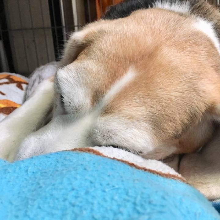 A60172fb 555a 4f64 8208 a7cb68cb8eea 1558413939167