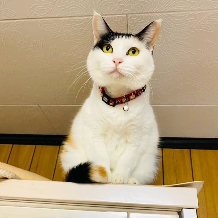 A601897c bfe6 4ed5 9b4a 8a07ad9ccfc8 1666873975434