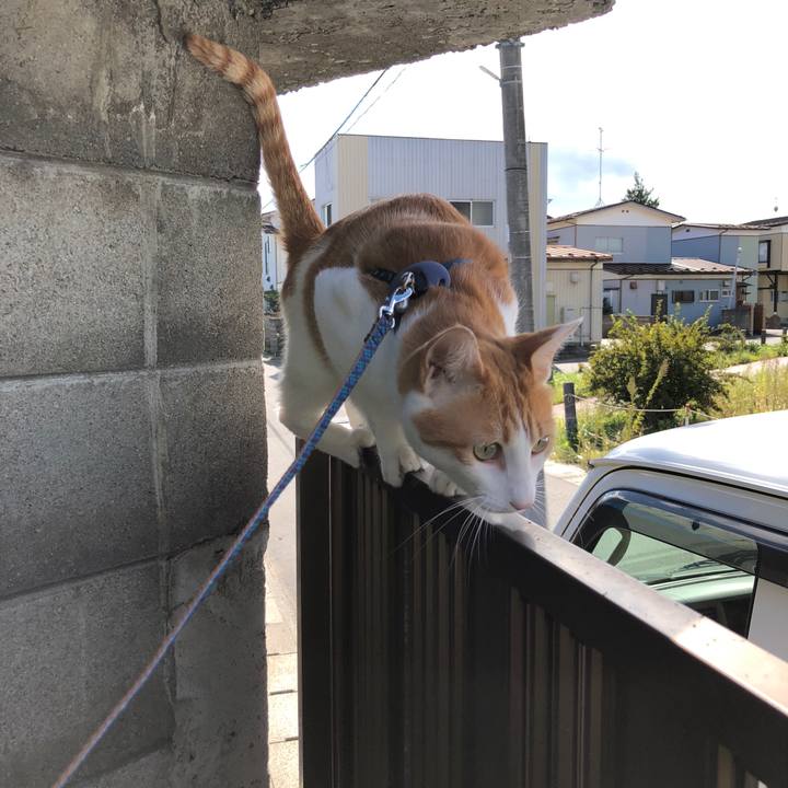 A601938d cfbe 4188 a39f 811bca0d6d2a 1538454477650