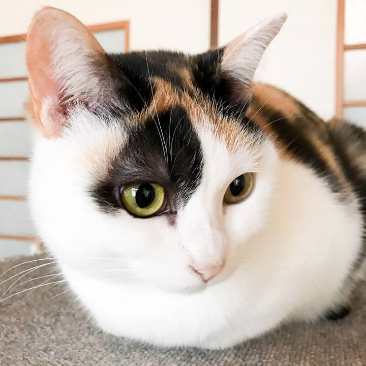 A60200ec 7122 44b5 bdd2 1995d8a548c9 1517532489942