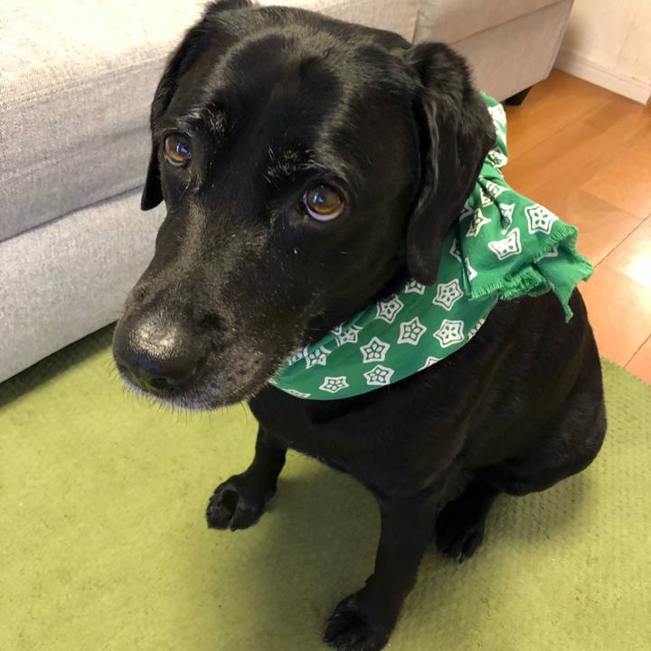 A6021515 af4b 44a8 85de 4e763d0d231d 1535239845443