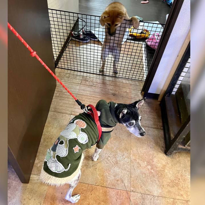 A6022c9e 8160 4c53 a12f cb5e51b576e7 1641814106448