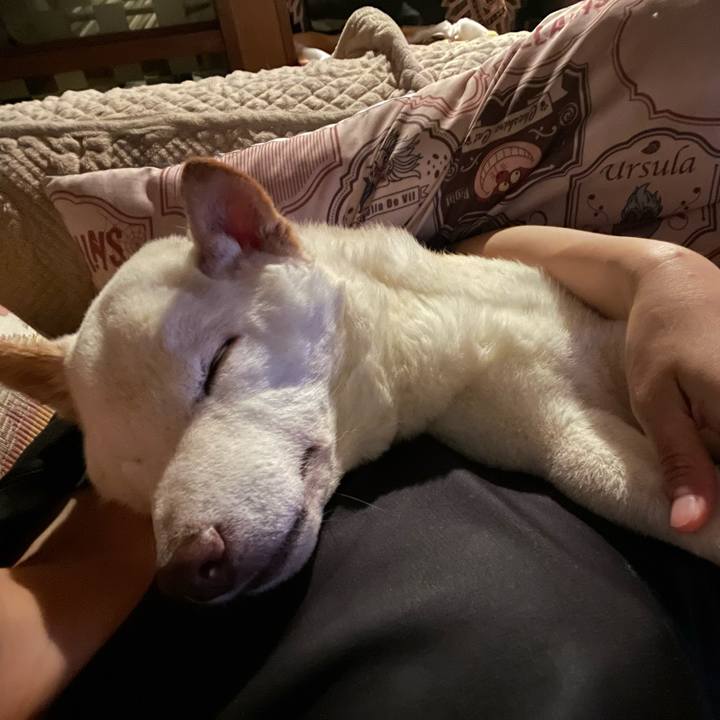 A60266ba ad1e 440b 8dbc f7dc2b78614c 1660565576128