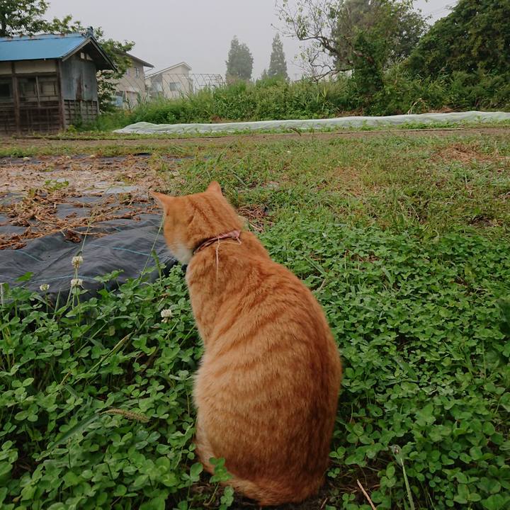 A602782b 895b 413c bbbb 9d113f65b75d 1568499564369