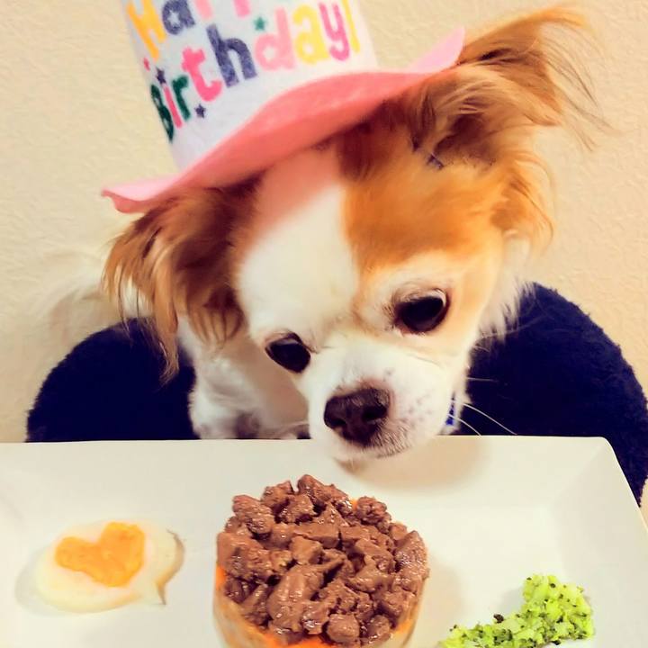 A6028474 6307 4e0a 8056 1afb6c42da29 1605011489831