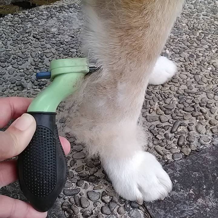 A6028977 9c96 438c 8e16 2c0585618f27 1648455038261