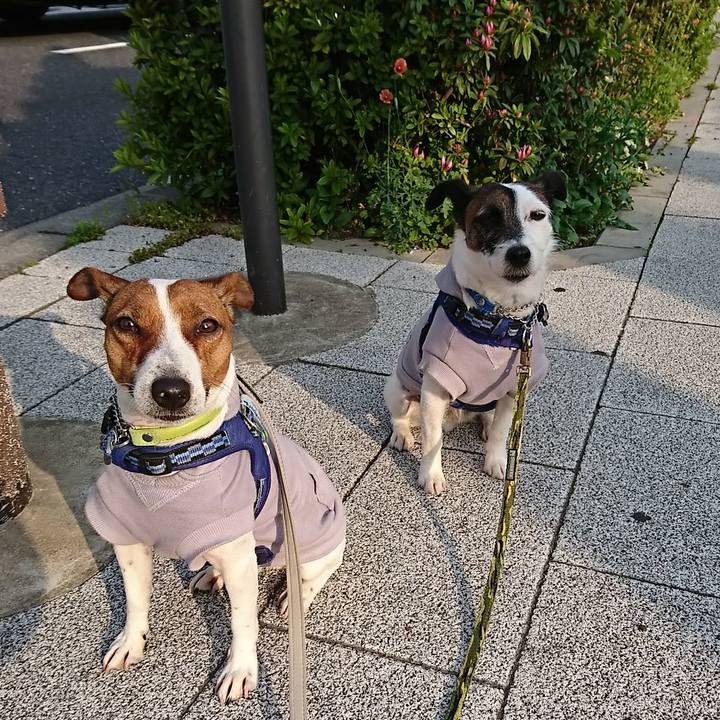 A6028a78 ec36 477b a77d 9789de860d53 1555624448991