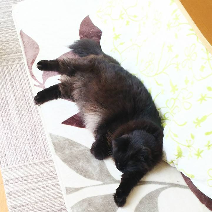 A602d411 46ef 44a9 9d88 7cb115ba081e 1518307641274