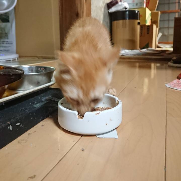 A602e656 2518 45f1 81b7 6c2aae53904b 1630231655826