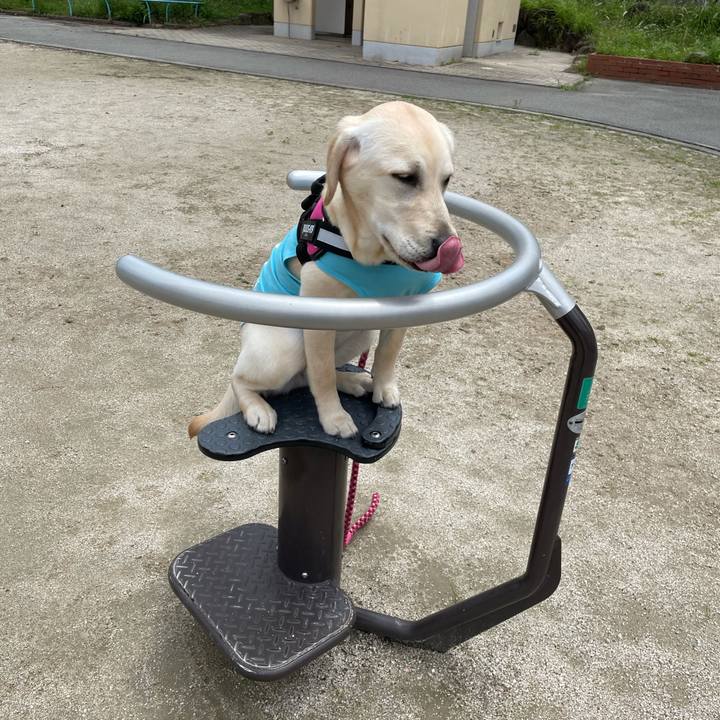 A602f792 2782 4e5b acb1 516d81d43bd4 1622083131316