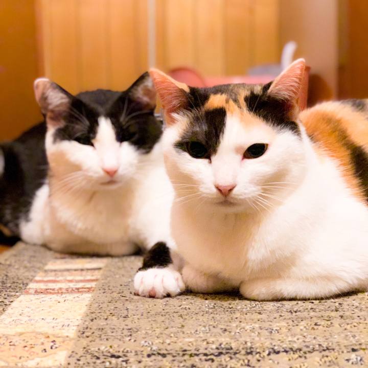 A6031c0a f224 4474 a269 4403d24033d9 1564013901019