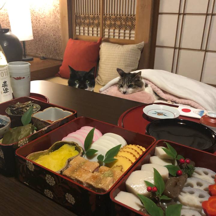 A6033001 eade 4704 a6fb e4ca56982cec 1546342261831