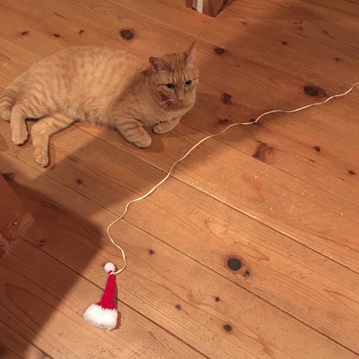 A6035d44 a44c 4420 be74 32a423cf5dea 1574173627270