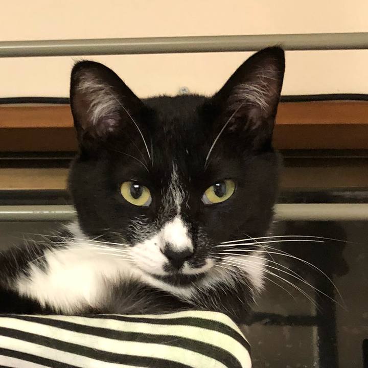 A6037794 e452 46c1 baa2 cca926b706cc 1531280541083