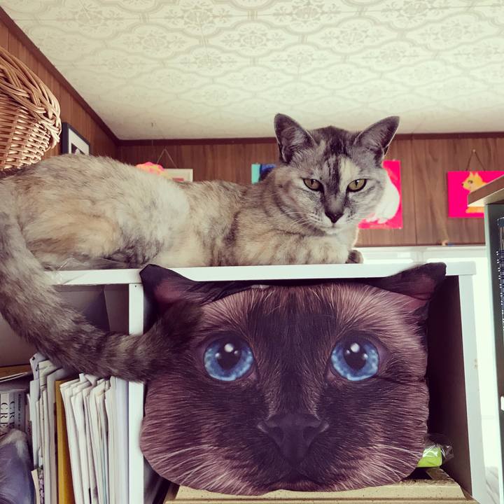 A6041713 53b0 447e a6c4 1e28f8bbce79 1595292274404