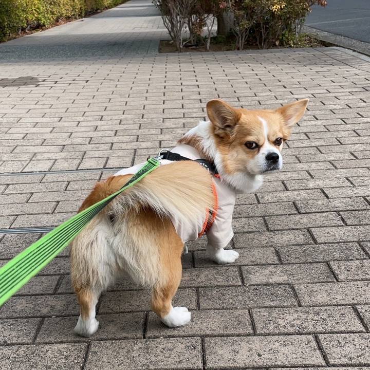 A6044a55 6e28 426a a0cb 4033d0fe7950 1703915107192