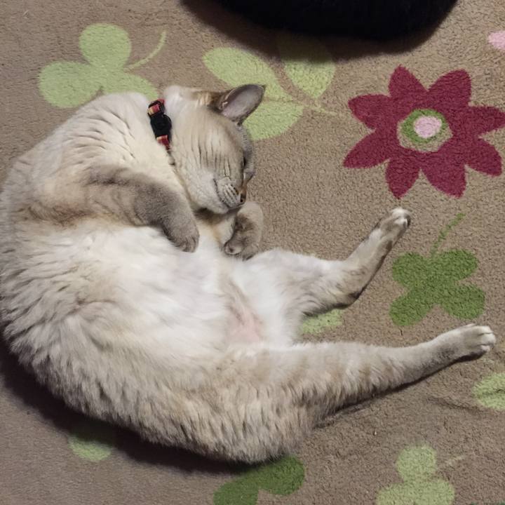 A6051898 7b68 46b4 815f a786fe315af9 1547982729424