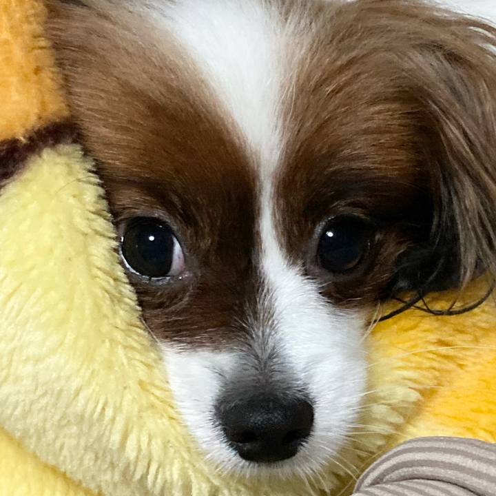 A60533e8 c756 4e9f 900f acdda5e62a16 1661048549785