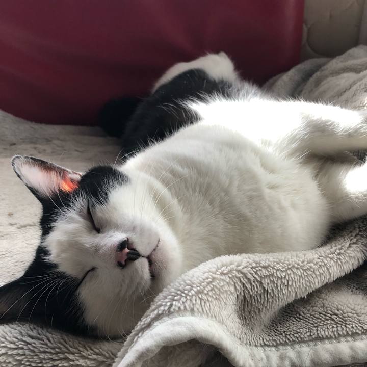 A6056ec7 d07e 4b50 ac10 aa3317124e9b 1608976153354