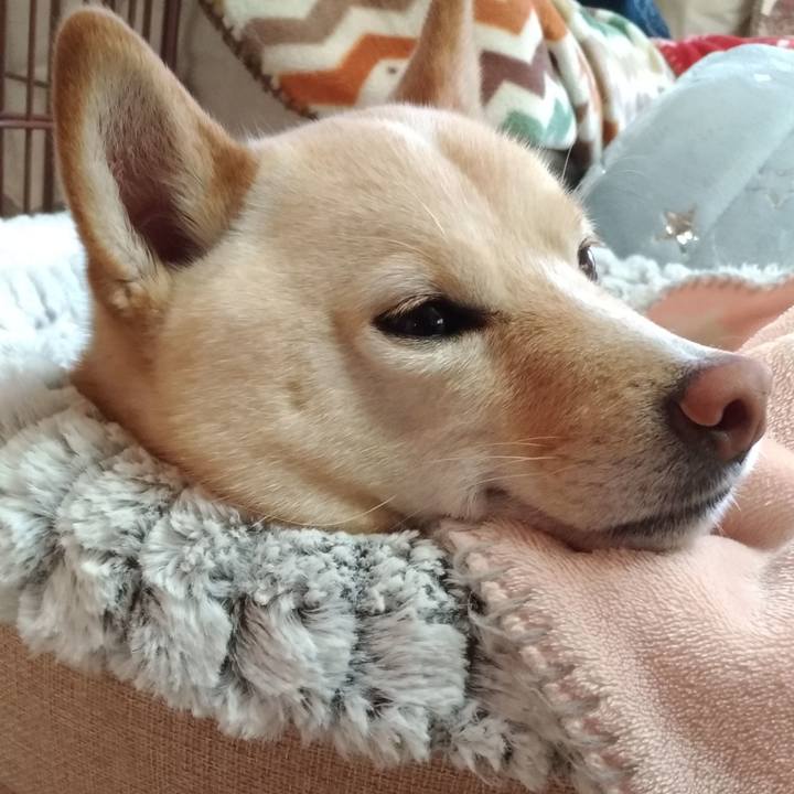 A605f2f2 976e 4a49 8009 e6bca95e70fb 1580256649406