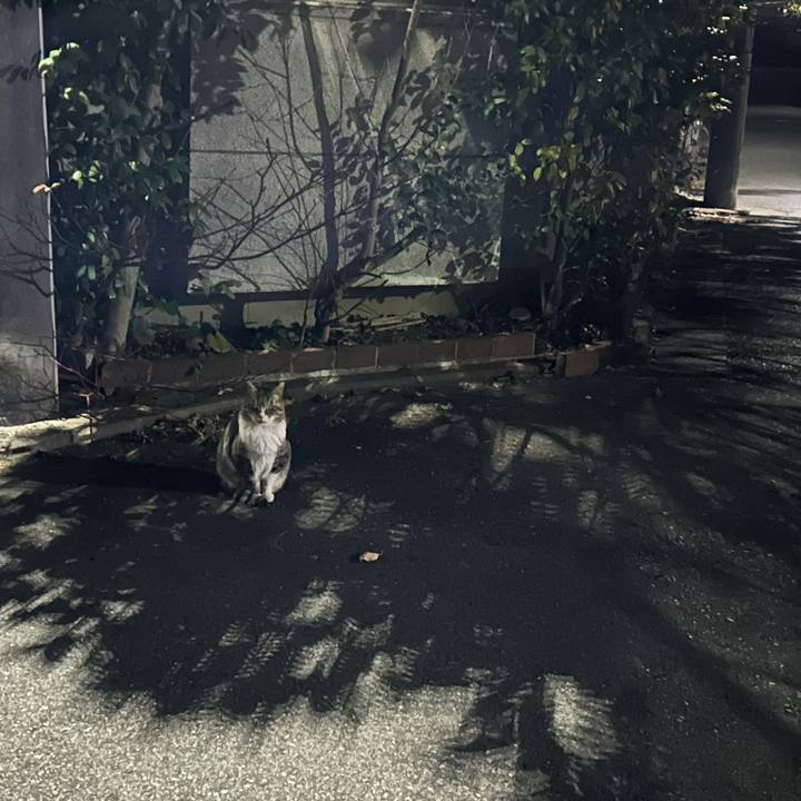 A6060355 a96a 4d11 866b f25010a233db 1767002697105