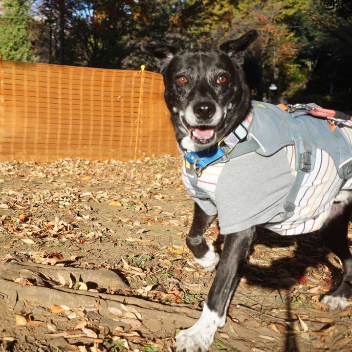 A6063e06 aab9 4eb7 93cb c56a3094f1e9 1763516141821