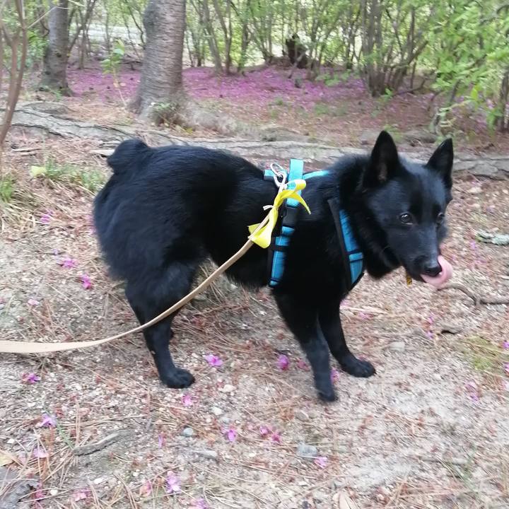 A606521e c97f 4d80 a4ac 7d242deb3af1 1650229144939