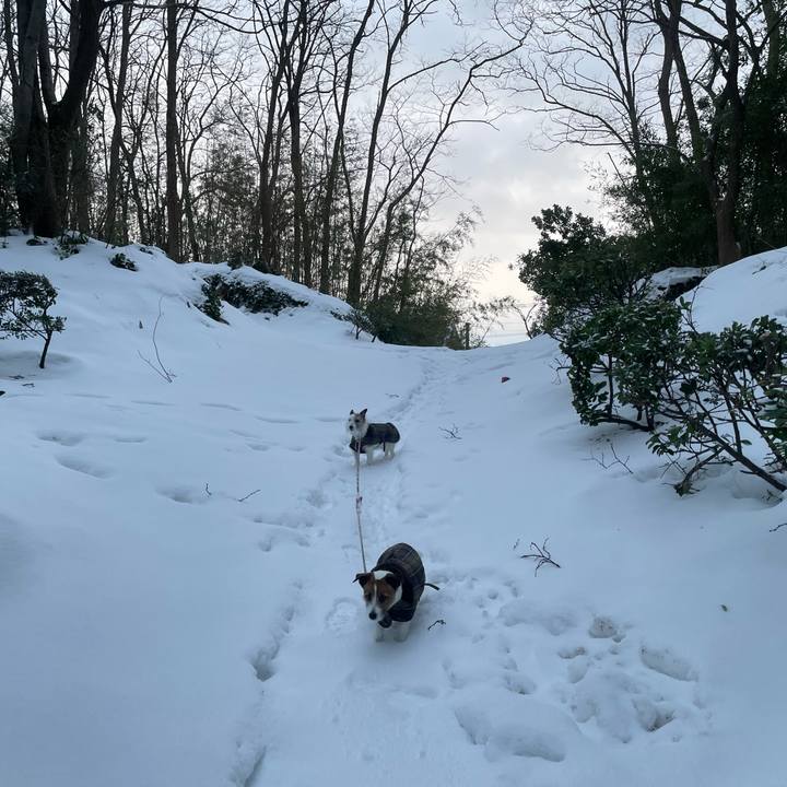 A6069fc6 ca7b 4292 b25d ba7d0fcf0d84 1769641404631