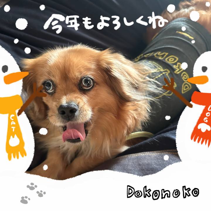 A606d091 73bd 42e2 ba75 82f262cf4f90 1704673108911