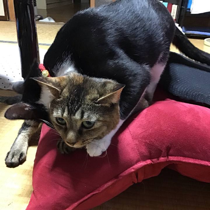 A6070eb4 52bc 41c0 9a9a c0e6faf7f833 1630731994118